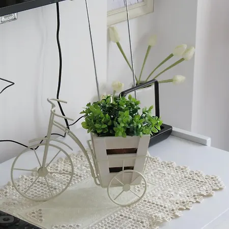 Apartment The White *